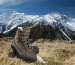 Himalaya_1080x