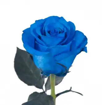 0c334c07-112b-4833-90a3-bd17f3403013_1.4f7f15d1be94ad39b6cf1323e6c3f87b-900x900