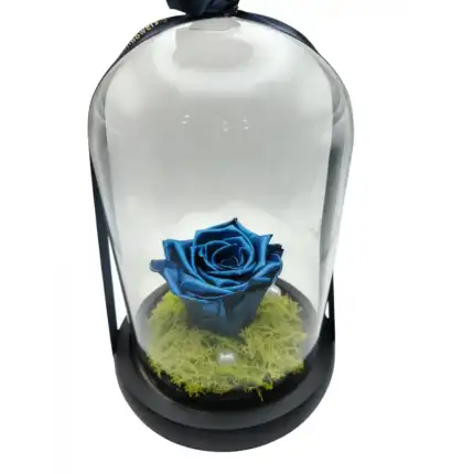 Forever Rose μπλέ μεταλιζέ σε γυάλινη καμπάνα -17εκ