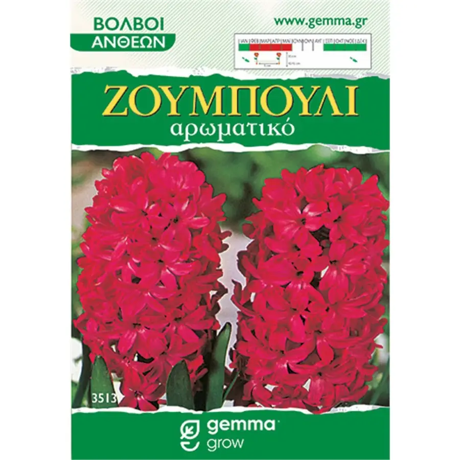 Ζουμπούλι κόκκινο