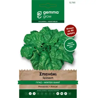 ΣΠΑΝΑΚΙ ΓΙΓΑΣ