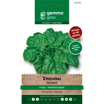 Σπανάκι γίγας χειμερινό
